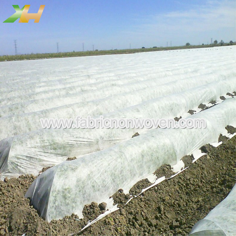 non woven fabric used in agriculture